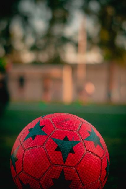 而灰熊则需 而灰熊则需