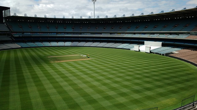 不仅能为球 不仅能为球