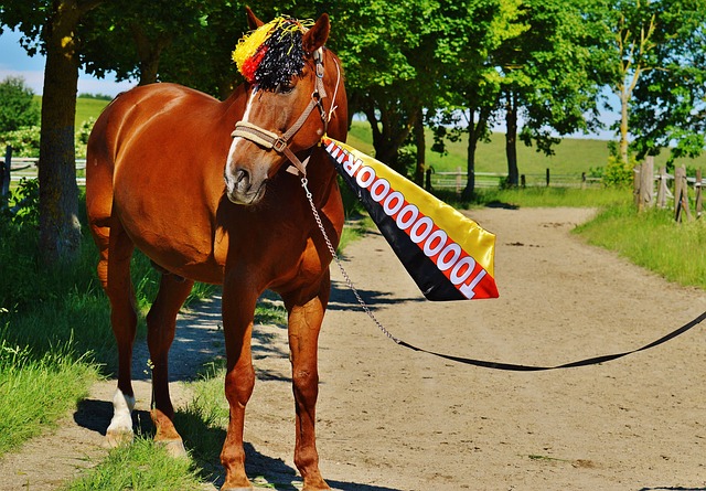 伤情令人遗 伤情令人遗