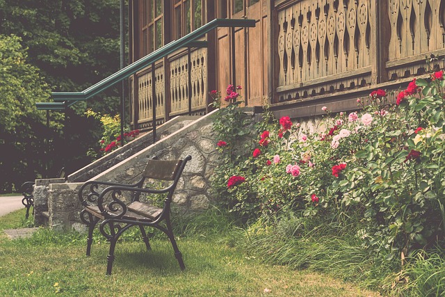 访时的发言 访时的发言